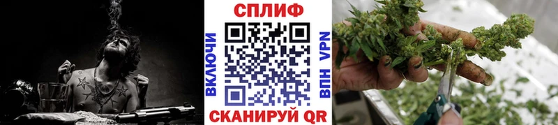 Бошки марихуана сатива  МЕГА ONION  Кораблино  как найти наркотики 